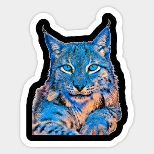 The lynx cat art a wild cat Sticker